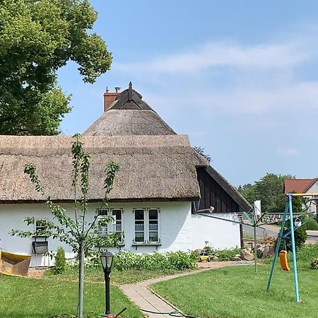 Ferienhaus Alte Schule Rambin Auf Ruegen المظهر الخارجي الصورة